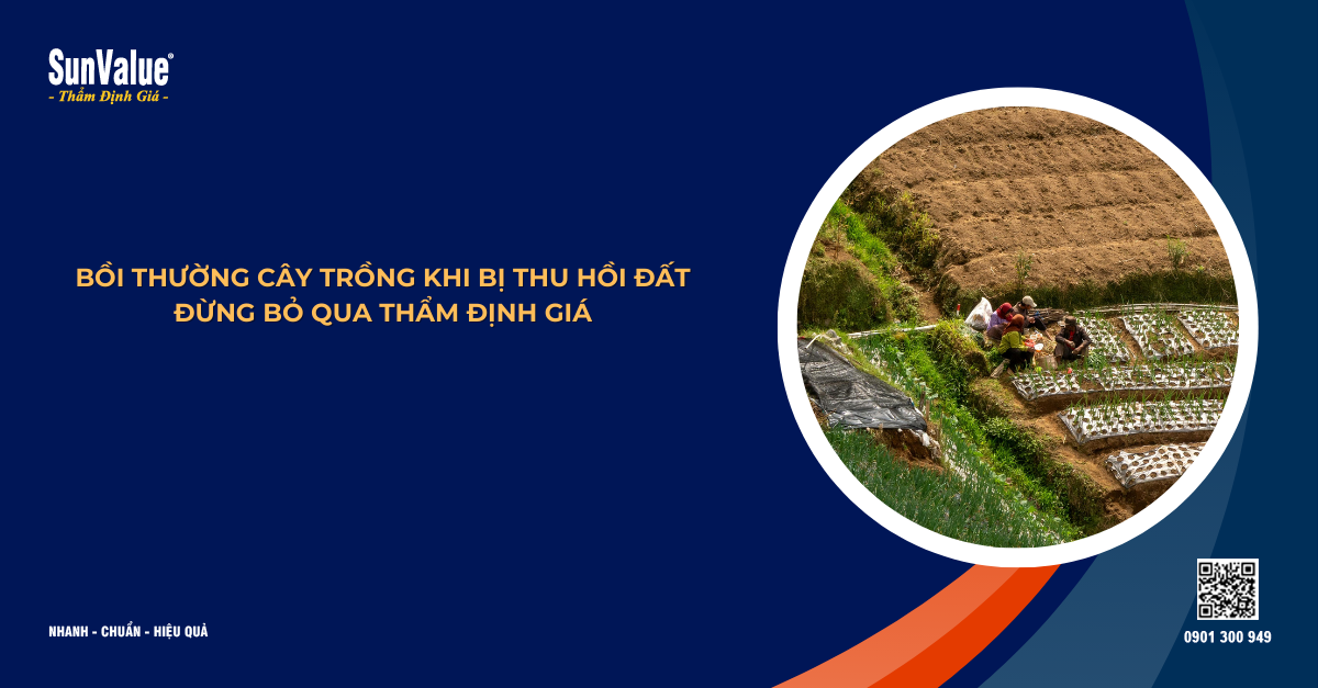 BỒI THƯỜNG CÂY TRỒNG KHI BỊ THU HỒI ĐẤT – ĐỪNG BỎ QUA THẨM ĐỊNH GIÁ