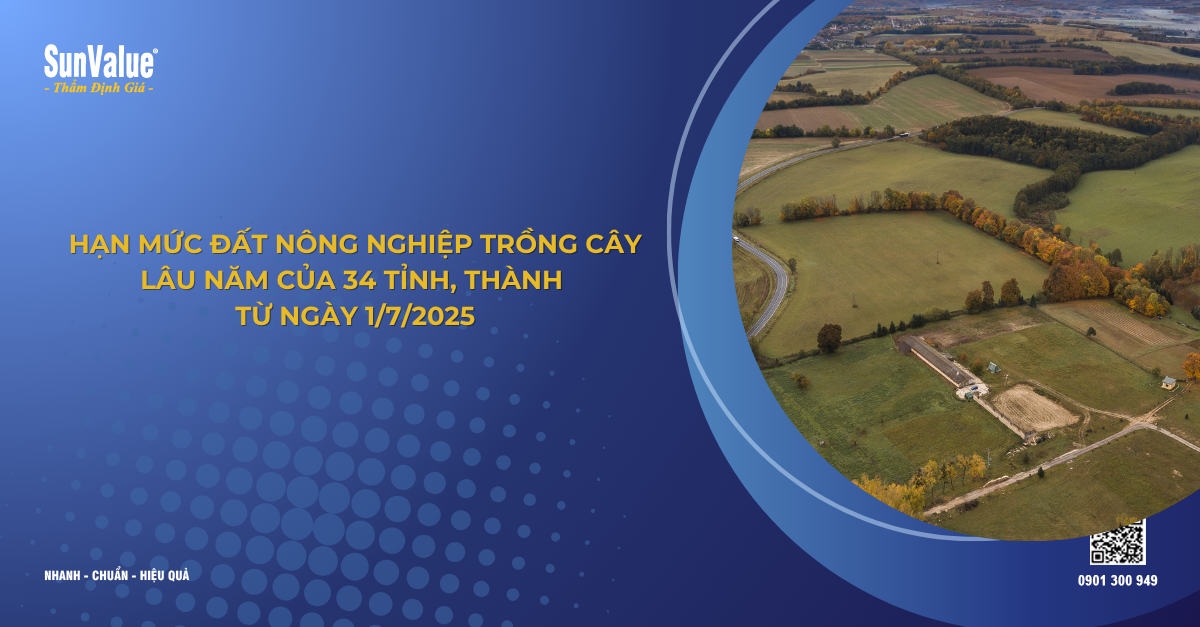 CẬP NHẬT MỚI NHẤT: HẠN MỨC ĐẤT NÔNG NGHIỆP TRỒNG CÂY HẰNG NĂM CỦA 34 TỈNH, THÀNH TỪ NGÀY 1/7