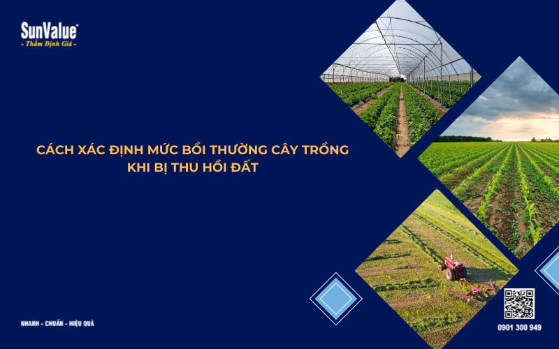 cách xác định mức bồi thường cây trồng khi bị thu hồi đất