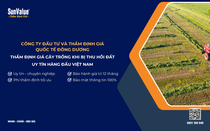 Công ty thẩm định giá cây trồng khi bị thu hồi đất