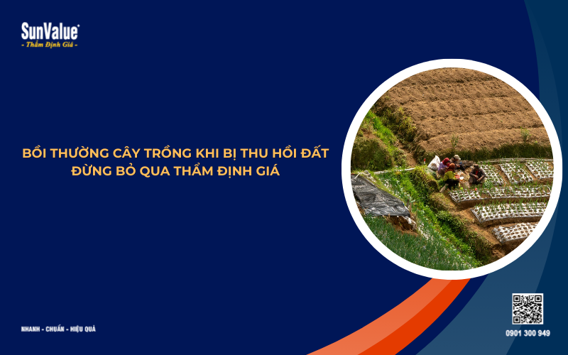 thẩm định giá bồi thường cây trồng khi bị thu hồi