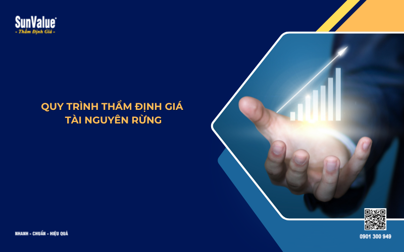 quy trình thẩm định giá tài nguyên rừng