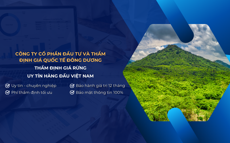 công ty thẩm định giá rừng uy tín