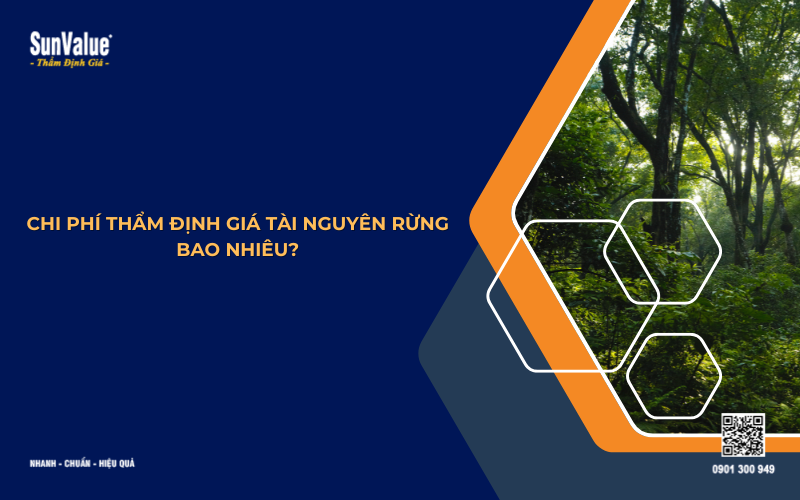 chi phí thẩm định giá rừng