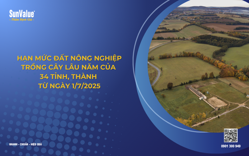 hạn mức đất nông nghiệp trồng cây lâu năm từ 1/7/2025