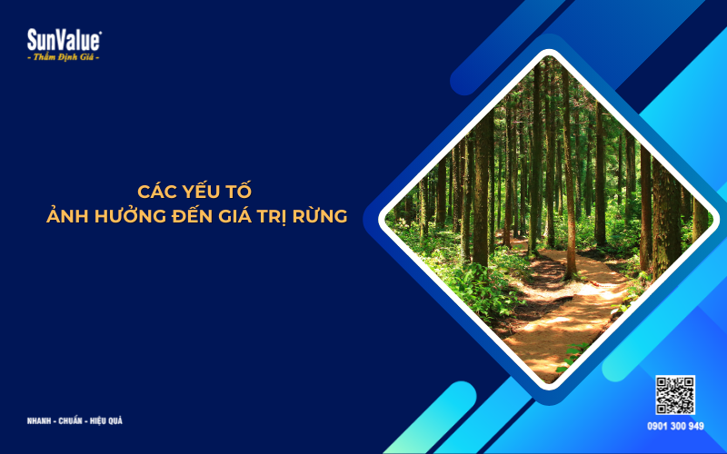 các yếu tố ảnh hưởng đến giá trị rừng