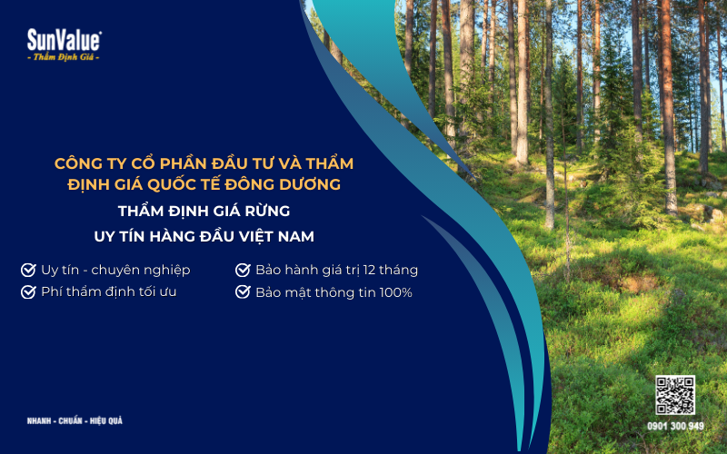 công ty thẩm định giá rừng uy tín hàng đầu Việt Nam