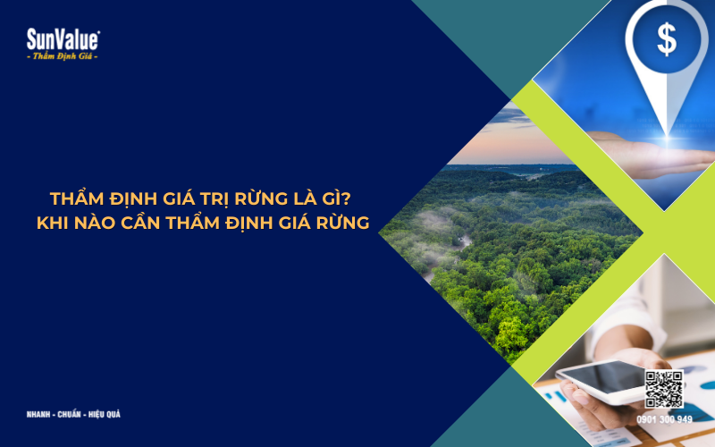 thẩm định giá rừng là gì